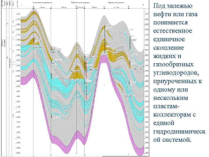Под залежью нефти или газа понимается естественное единичное скопление жидких и газообразных углеводородов, приуроченных