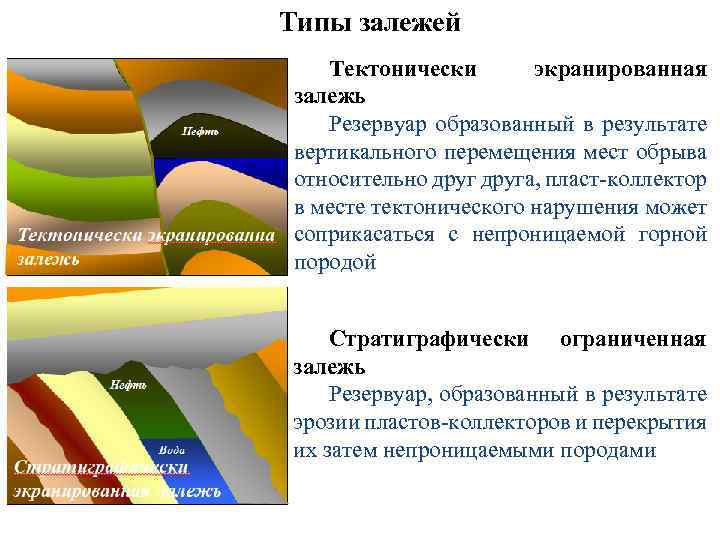 Типы залежей Тектонически экранированная залежь Резервуар образованный в результате вертикального перемещения мест обрыва относительно