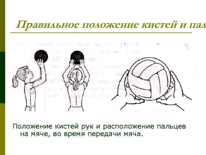 Правильное положение кистей и паль Положение кистей рук и расположение пальцев на мяче, во