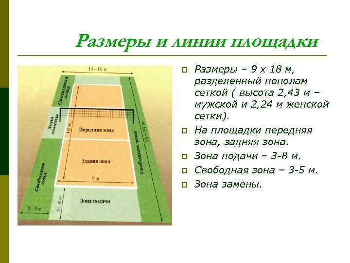 Размеры и линии площадки p p p Размеры – 9 х 18 м, разделенный