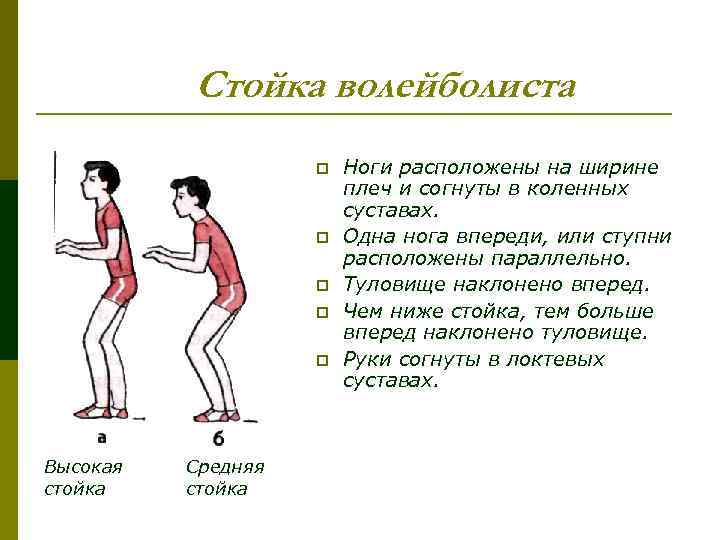 Стойка волейболиста p p p Высокая стойка Средняя стойка Ноги расположены на ширине плеч