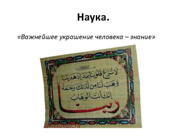 Халифат наука