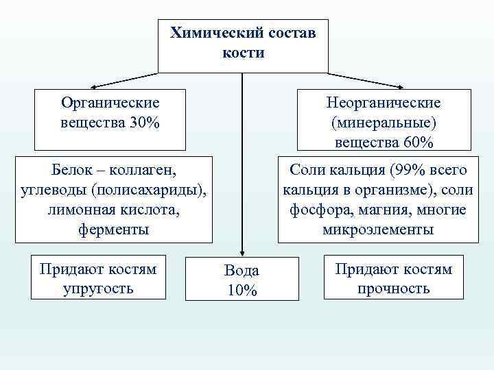 В химическом составе костей пожилого человека