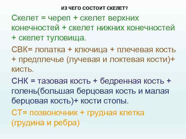 ИЗ ЧЕГО СОСТОИТ СКЕЛЕТ? Скелет = череп + скелет верхних конечностей + скелет нижних