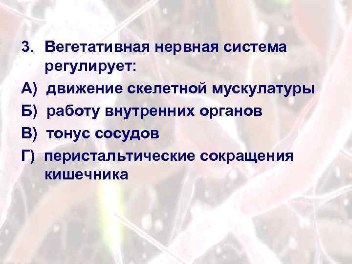 Вегетативная нервная система регулирует