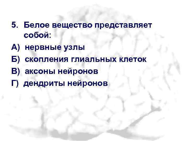 5. Белое вещество представляет собой: А) нервные узлы Б) скопления глиальных клеток В) аксоны