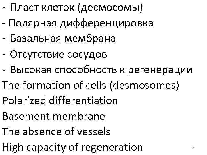 - Пласт клеток (десмосомы) - Полярная дифференцировка - Базальная мембрана - Отсутствие сосудов -