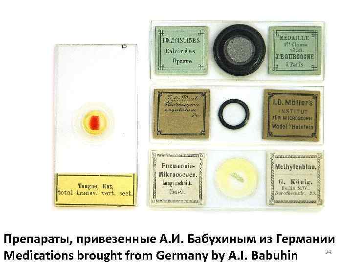 Препараты, привезенные А. И. Бабухиным из Германии 34 Medications brought from Germany by A.