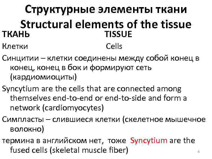 Структурные элементы ткани Structural elements of the tissue ТКАНЬ TISSUE Клетки Cells Синцитии –