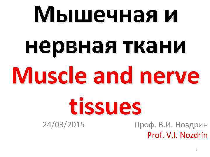Мышечная и нервная ткани Muscle and nerve tissues 24/03/2015 Проф. В. И. Ноздрин Prof.
