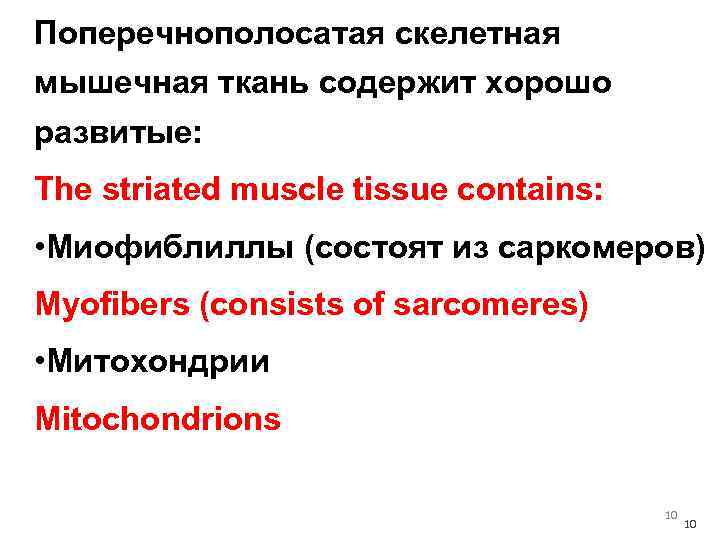 Поперечнополосатая скелетная мышечная ткань содержит хорошо развитые: The striated muscle tissue contains: • Миофиблиллы
