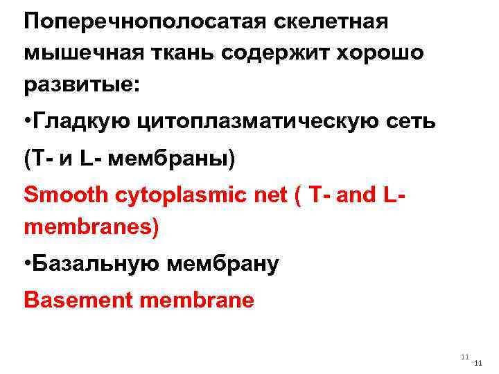 Поперечнополосатая скелетная мышечная ткань содержит хорошо развитые: • Гладкую цитоплазматическую сеть (Т- и L-