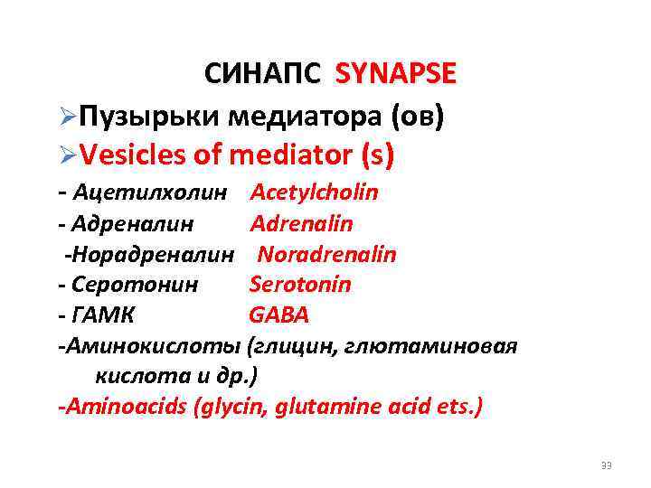 СИНАПС SYNAPSE ØПузырьки медиатора (ов) ØVesicles of mediator (s) - Ацетилхолин Acetylcholin - Адреналин