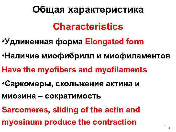 Общая характеристика Characteristics • Удлиненная форма Elongated form • Наличие миофибрилл и миофиламентов Have