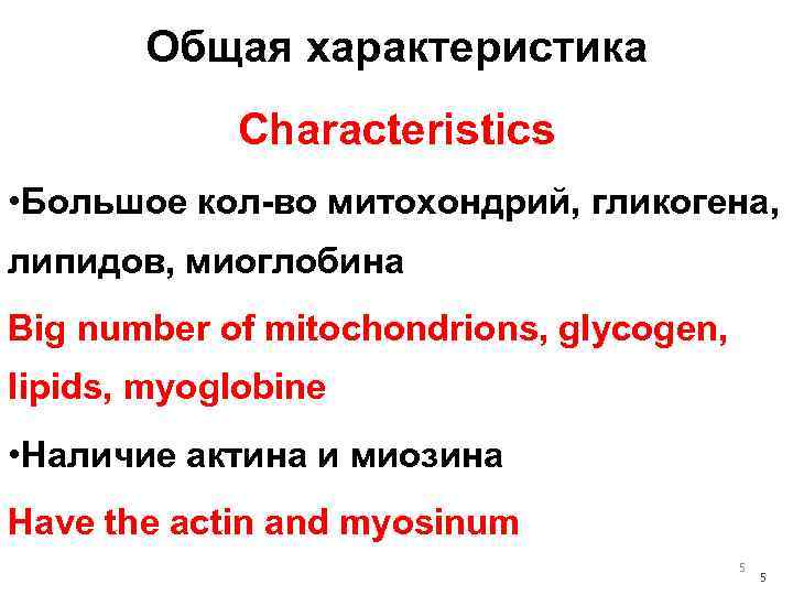 Общая характеристика Characteristics • Большое кол-во митохондрий, гликогена, липидов, миоглобина Big number of mitochondrions,