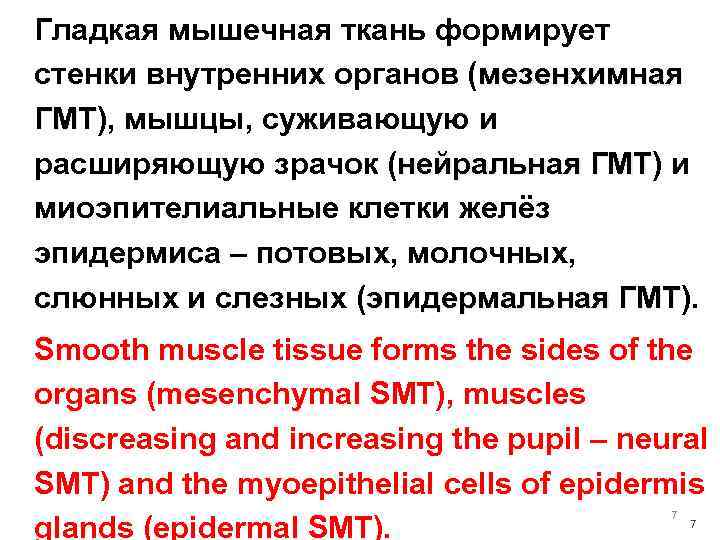 Гладкая мышечная ткань формирует стенки внутренних органов (мезенхимная ГМТ), мышцы, суживающую и ГМТ расширяющую