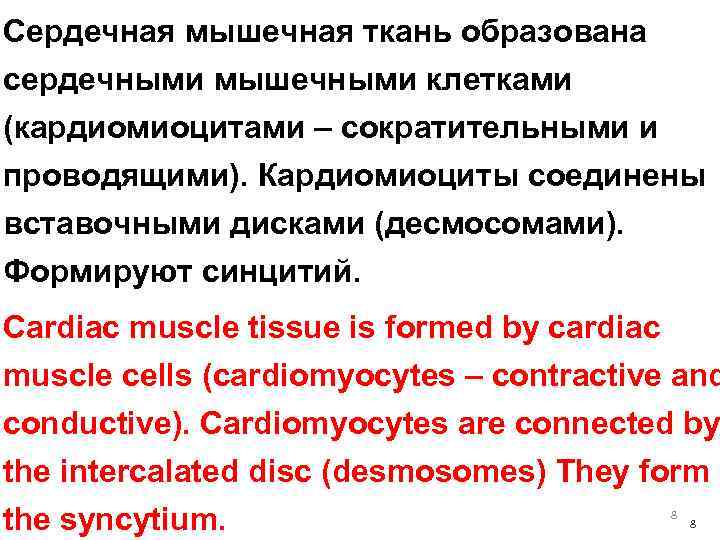 Сердечная мышечная ткань образована сердечными мышечными клетками (кардиомиоцитами – сократительными и проводящими). Кардиомиоциты соединены