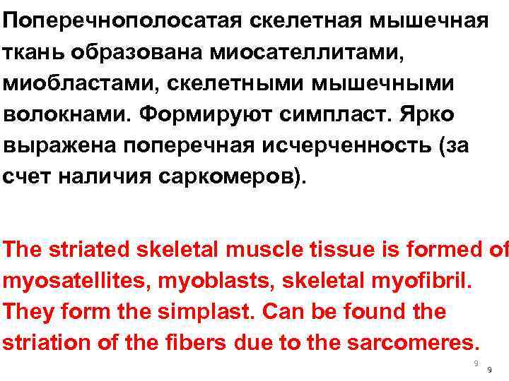 Поперечнополосатая скелетная мышечная ткань образована миосателлитами, миобластами, скелетными мышечными волокнами. Формируют симпласт. Ярко выражена