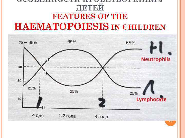 ОСОБЕННОСТИ КРОВЕТВОРЕНИЯ У ДЕТЕЙ FEATURES OF THE HAEMATOPOIESIS IN CHILDREN 14 