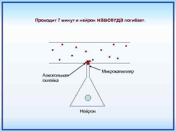 Проходит 7 минут и нейрон навсегда погибает. Микрокапилляр Алкогольная склейка Нейрон 
