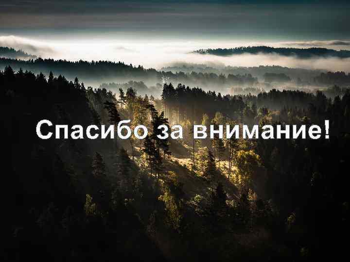 Спасибо за внимание! Footer Text 2/10/2018 41 