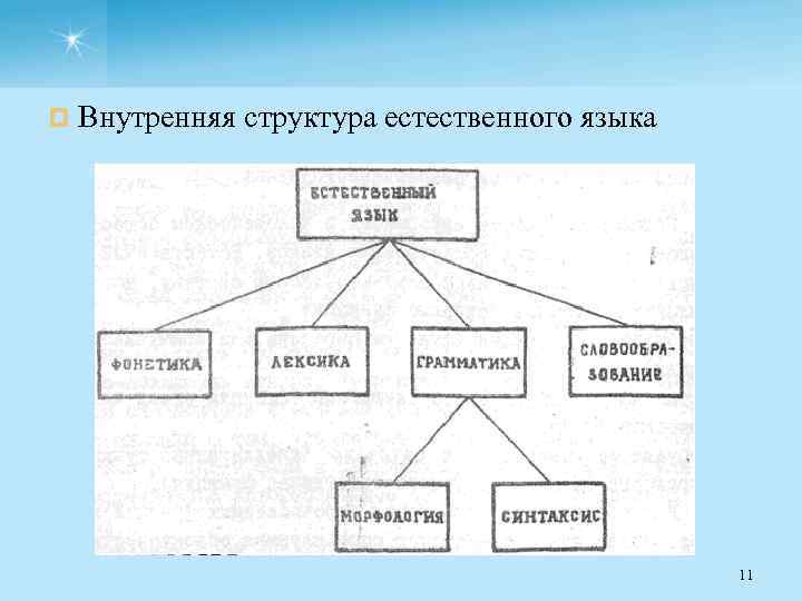 ¤ Внутренняя структура естественного языка 11 