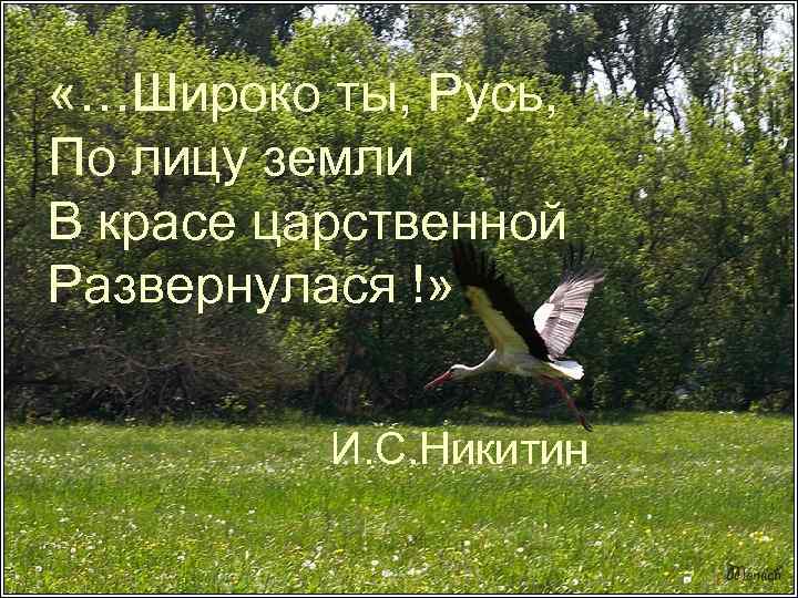  «…Широко ты, Русь, По лицу земли В красе царственной Развернулася !» И. С.