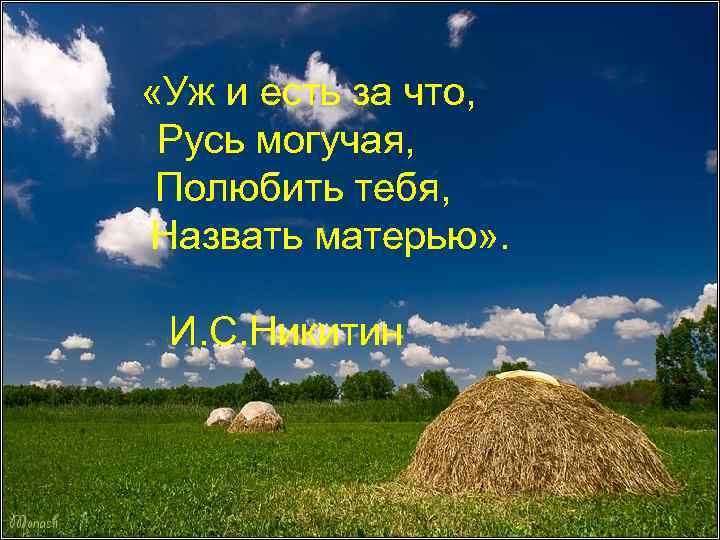 «Уж и есть за что, Русь могучая, Полюбить тебя, Назвать матерью» . И.