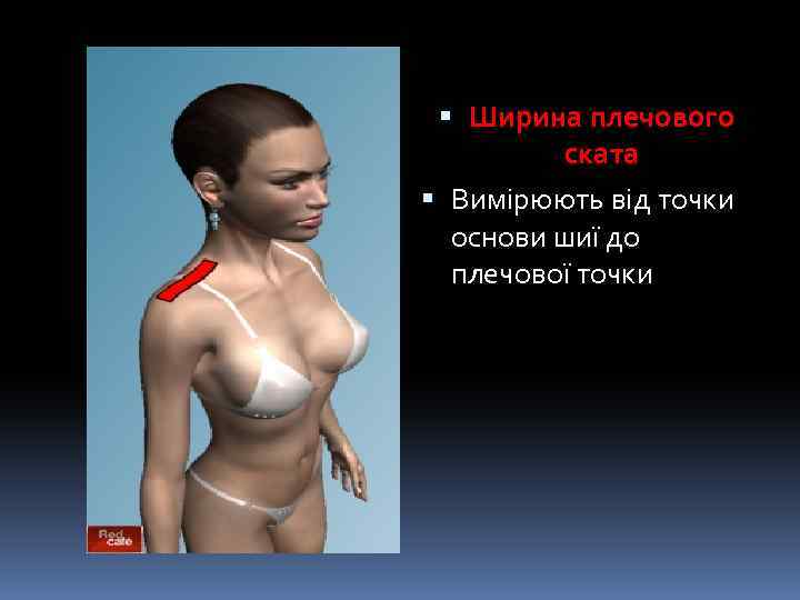  Ширина плечового ската Вимірюють від точки основи шиї до плечової точки 