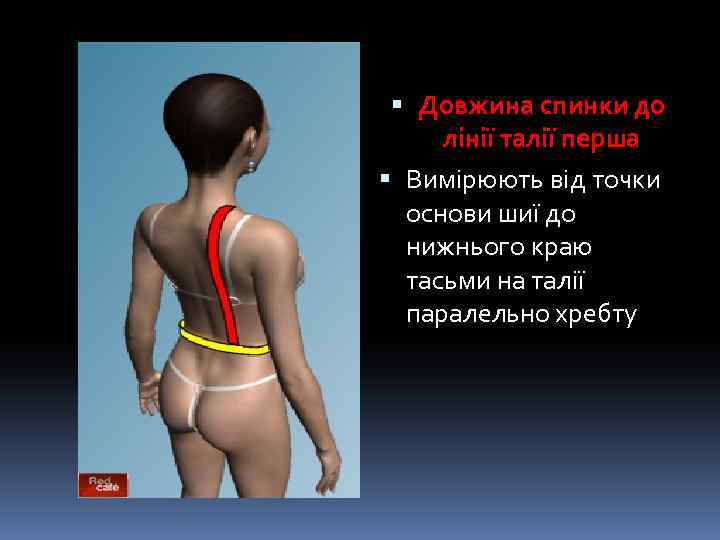  Довжина спинки до лінії талії перша Вимірюють від точки основи шиї до нижнього