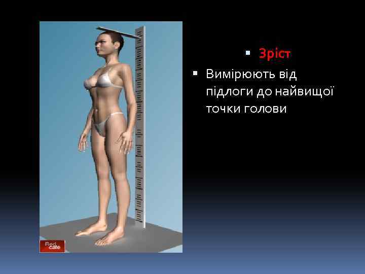  Зріст Вимірюють від підлоги до найвищої точки голови 