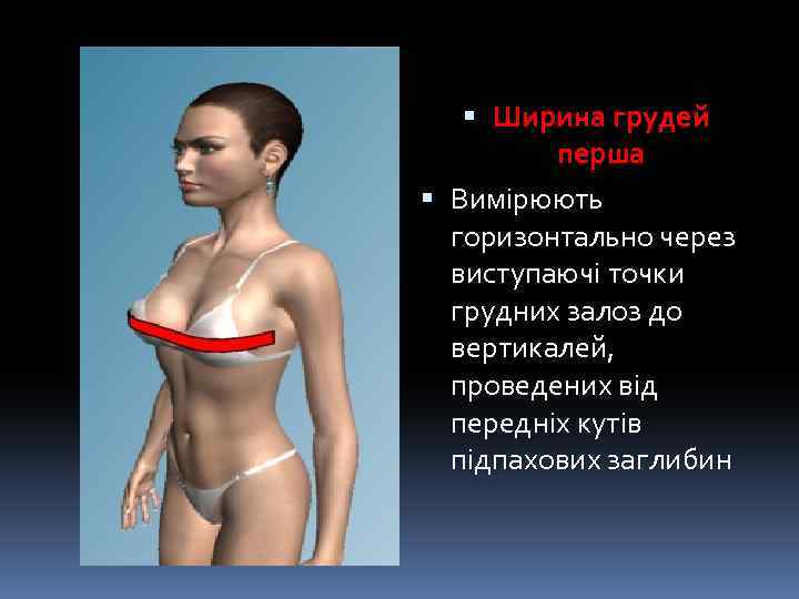  Ширина грудей перша Вимірюють горизонтально через виступаючі точки грудних залоз до вертикалей, проведених