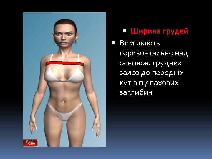  Ширина грудей Вимірюють горизонтально над основою грудних залоз до передніх кутів підпахових заглибин