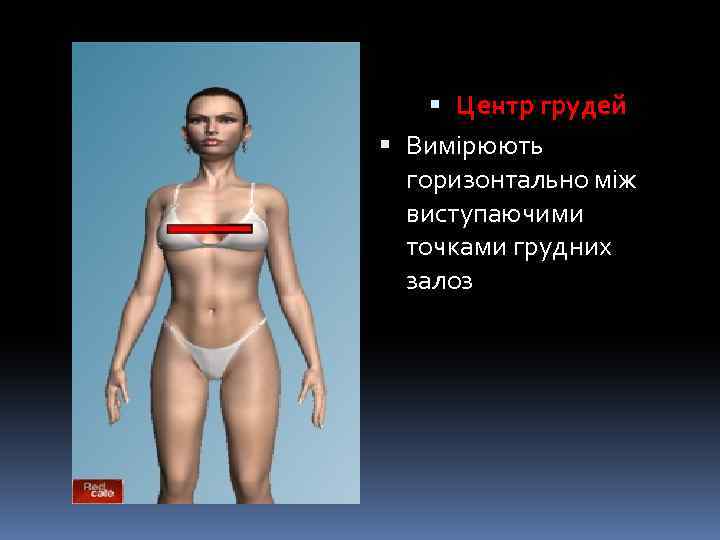  Центр грудей Вимірюють горизонтально між виступаючими точками грудних залоз 