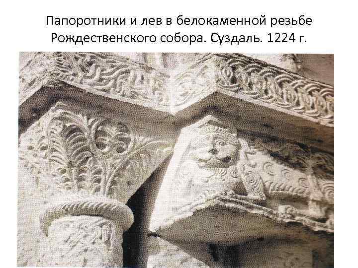 Папоротники и лев в белокаменной резьбе Рождественского собора. Суздаль. 1224 г. 