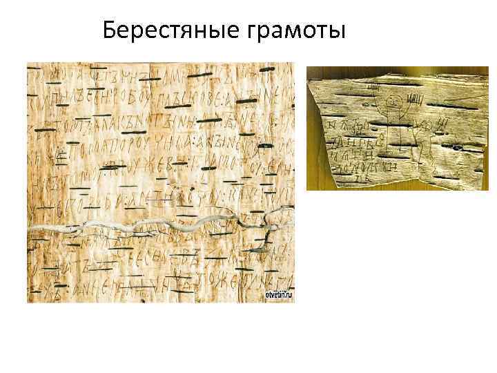 Берестяные грамоты 