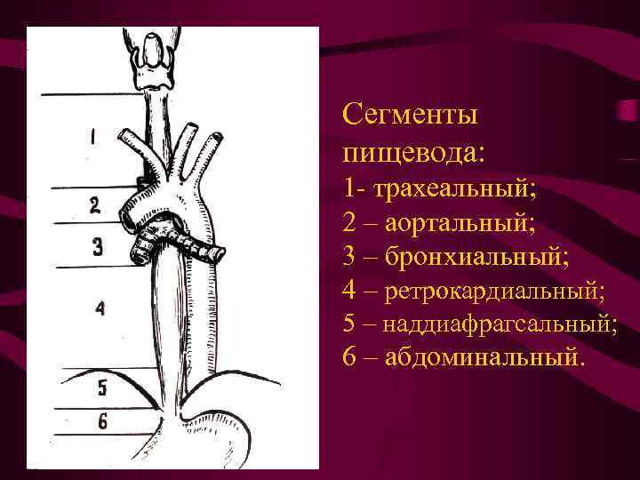 Усиление бронхиального рисунка