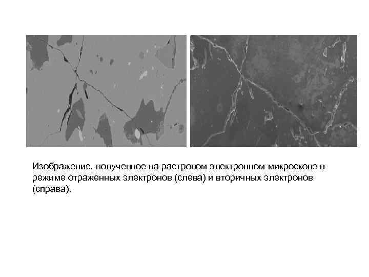 Изображение, полученное на растровом электронном микроскопе в режиме отраженных электронов (слева) и вторичных электронов