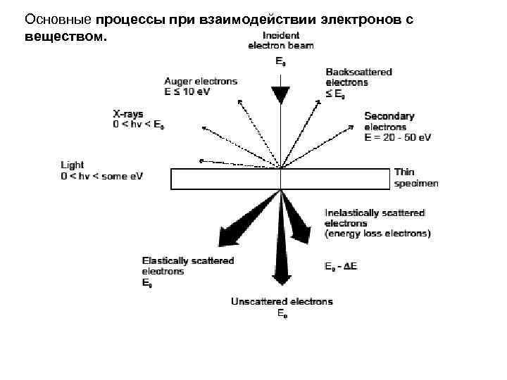 Взаимодействие электронов. Основные процессы при взаимодействии электронов с веществом. Взаимодействие электронов с веществом. Основные процессы взаимодействия электронов с веществом. Основные виды взаимодействия электронов с веществом.