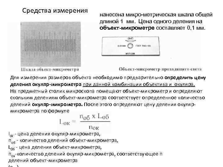Средства измерения нанесена микро метрическая шкала общей длиной 1 мм. Цена одного деления на