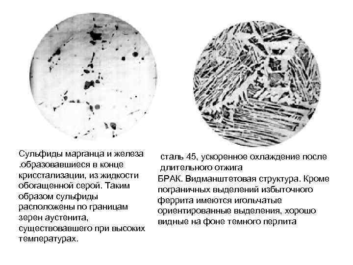 Сульфиды марганца и железа. образовавшиеся в конце крисстализации, из жидкости обогащенной серой. Таким образом