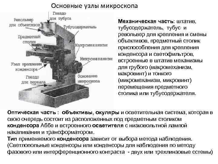 Основные узлы микроскопа Механическая часть: штатив, тубусодержатель, тубус и револьвер для крепления и смены