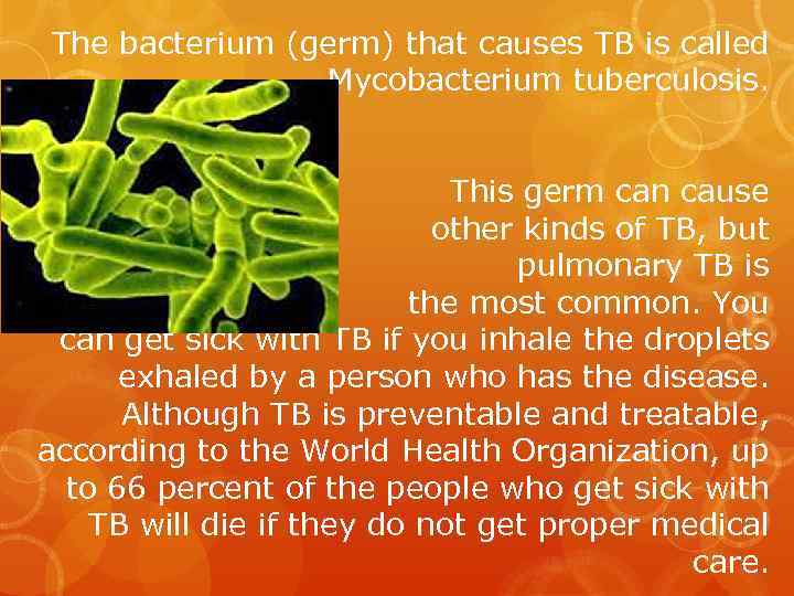 The bacterium (germ) that causes TB is called Mycobacterium tuberculosis. This germ can cause