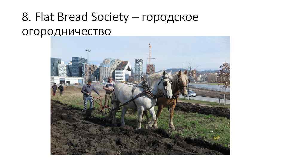 8. Flat Bread Society – городское огородничество 