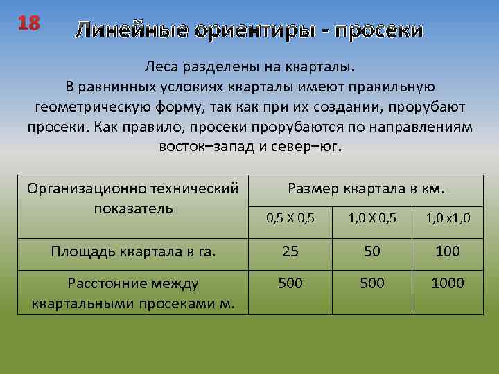 18 Линейные ориентиры - просеки Леса разделены на кварталы. В равнинных условиях кварталы имеют