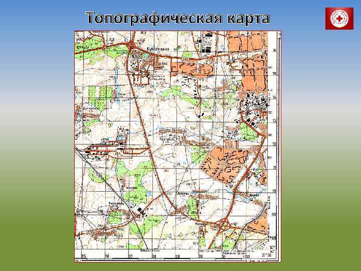 Топографическая карта 