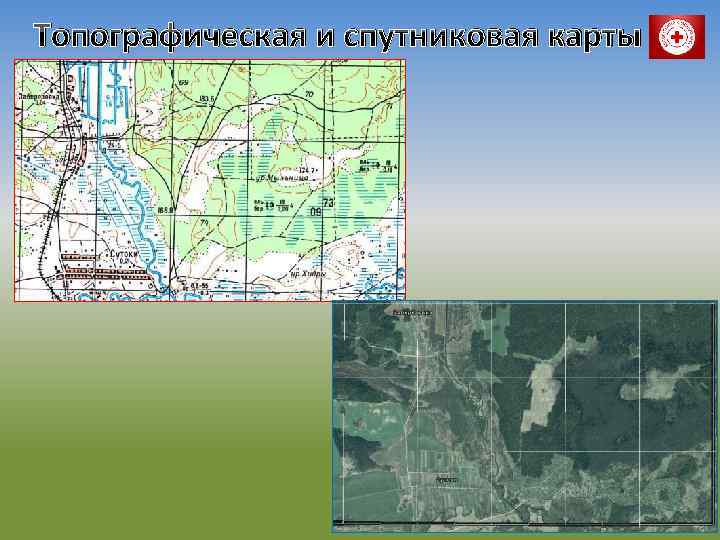 Топографическая и спутниковая карты 