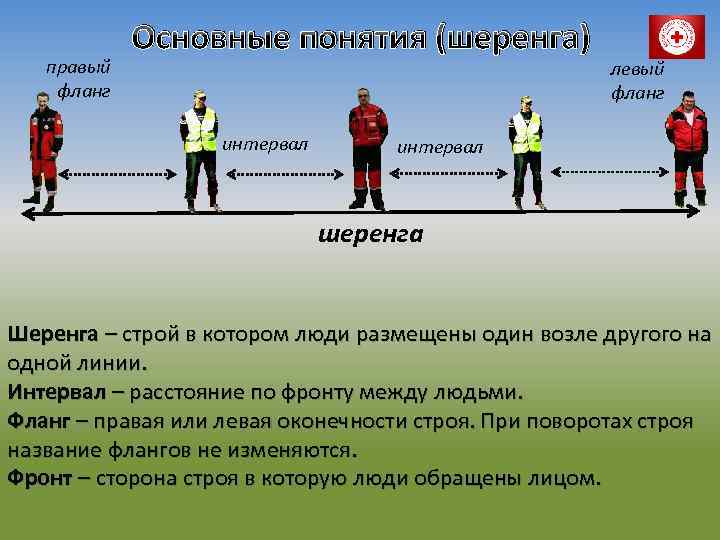 Назовите строй в котором занимающиеся расположены