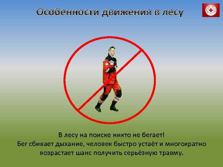 Особенности движения в лесу В лесу на поиске никто не бегает! Бег сбивает дыхание,