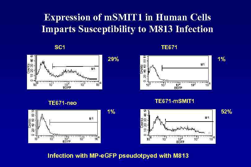 Expression of m. SMIT 1 in Human Cells Imparts Susceptibility to M 813 Infection